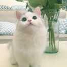 Fireintherain的个人资料头像