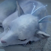 熊啊的个人资料头像