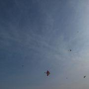 wade1860的个人资料头像