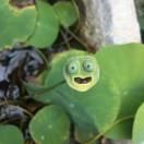 东流灬的个人资料头像