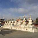 糊涂先生的个人资料头像