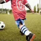 东临碣石的个人资料头像