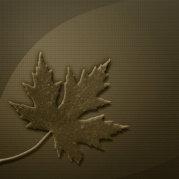 这一盘是姜的个人资料头像