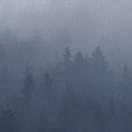 老当的个人资料头像