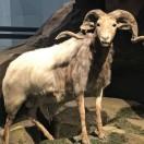 李泽洋的个人资料头像