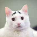 Cloudicy57217的个人资料头像