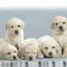 匿休行的个人资料头像