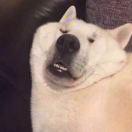 重名了的个人资料头像