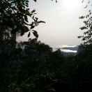 Mikle的个人资料头像