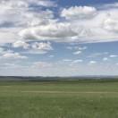 Fenger的个人资料头像