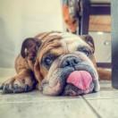 ownShiftr的个人资料头像