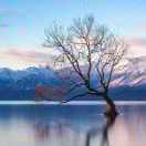 dududu同志的个人资料头像