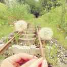 UndefinedLoving的个人资料头像