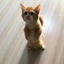 谢斌本尊的个人资料头像