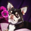 在掘金的个人资料头像