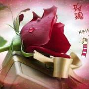 chennvwang的个人资料头像