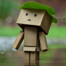 90飞的个人资料头像