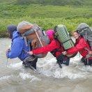 TCB的个人资料头像