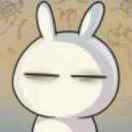 __大猫的个人资料头像