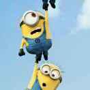 宗意音悦的个人资料头像