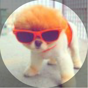 harleyxt的个人资料头像