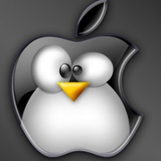 911hearthstone的个人资料头像