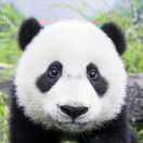 阿翔重名了的个人资料头像