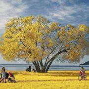 微笑karl的个人资料头像