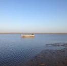 刚子同志的个人资料头像