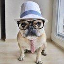 大耳朵本尊的个人资料头像