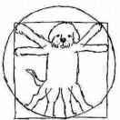 华夏酱的个人资料头像