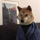 Lionel就是我的个人资料头像