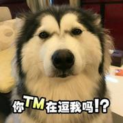 unmagic的个人资料头像