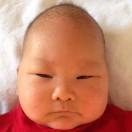 豆包爹的个人资料头像