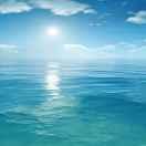 Missjiang的个人资料头像