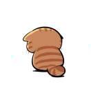 張誌鑫的个人资料头像