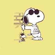 Stiven的个人资料头像