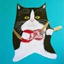 酸辣大白菜的个人资料头像