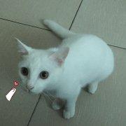 岚之凌的个人资料头像