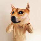 如星不想说话的个人资料头像