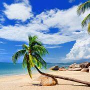 陵冻的个人资料头像