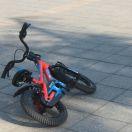 卡尔维诺的个人资料头像