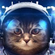 alienneko的个人资料头像