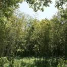 AlexDing的个人资料头像