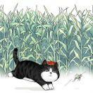 卡通人威强的个人资料头像