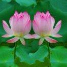 在风中的个人资料头像