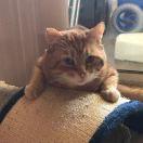 LRG的个人资料头像