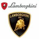 林宝基尼的个人资料头像