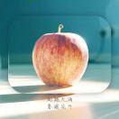 Aibo本尊的个人资料头像