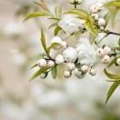 柳同学58943的个人资料头像